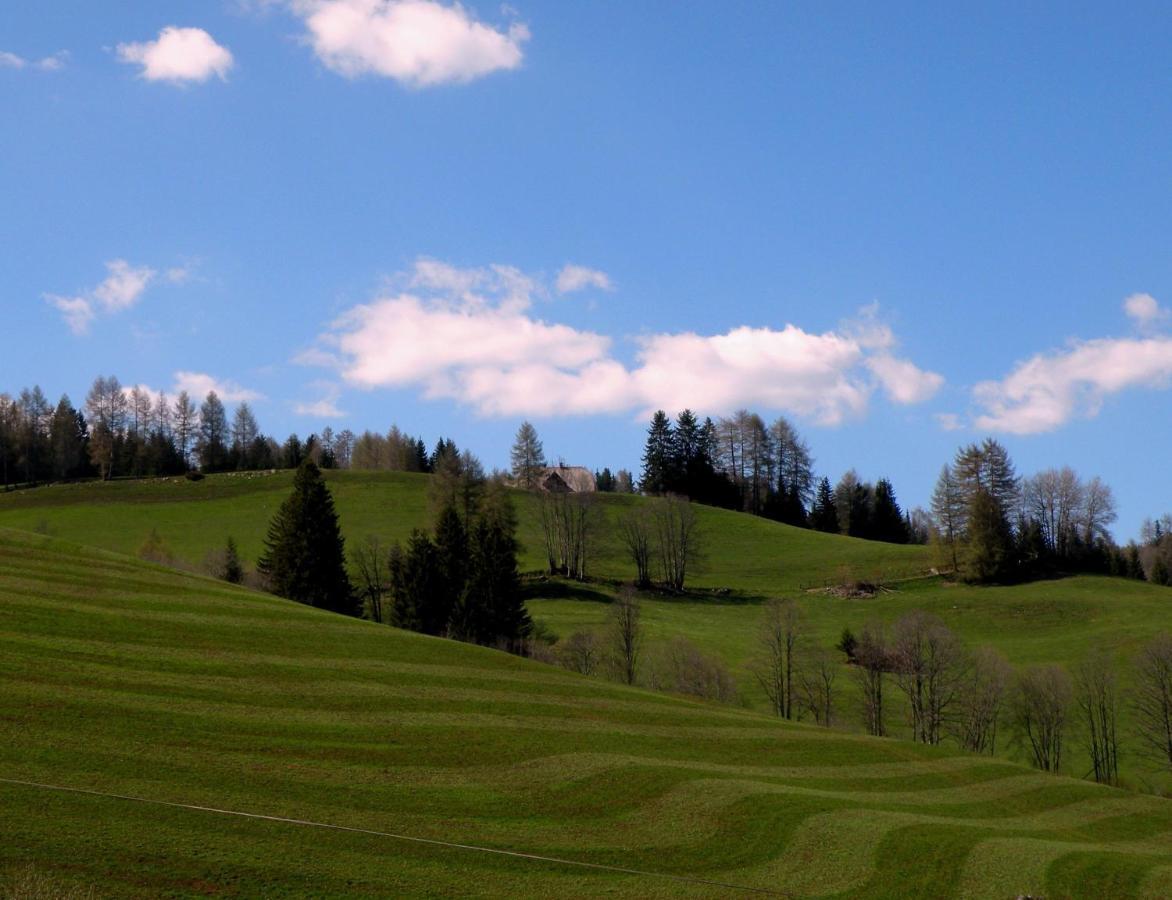 Obdach Urlaub Im Zirbenlandヴィラ エクステリア 写真