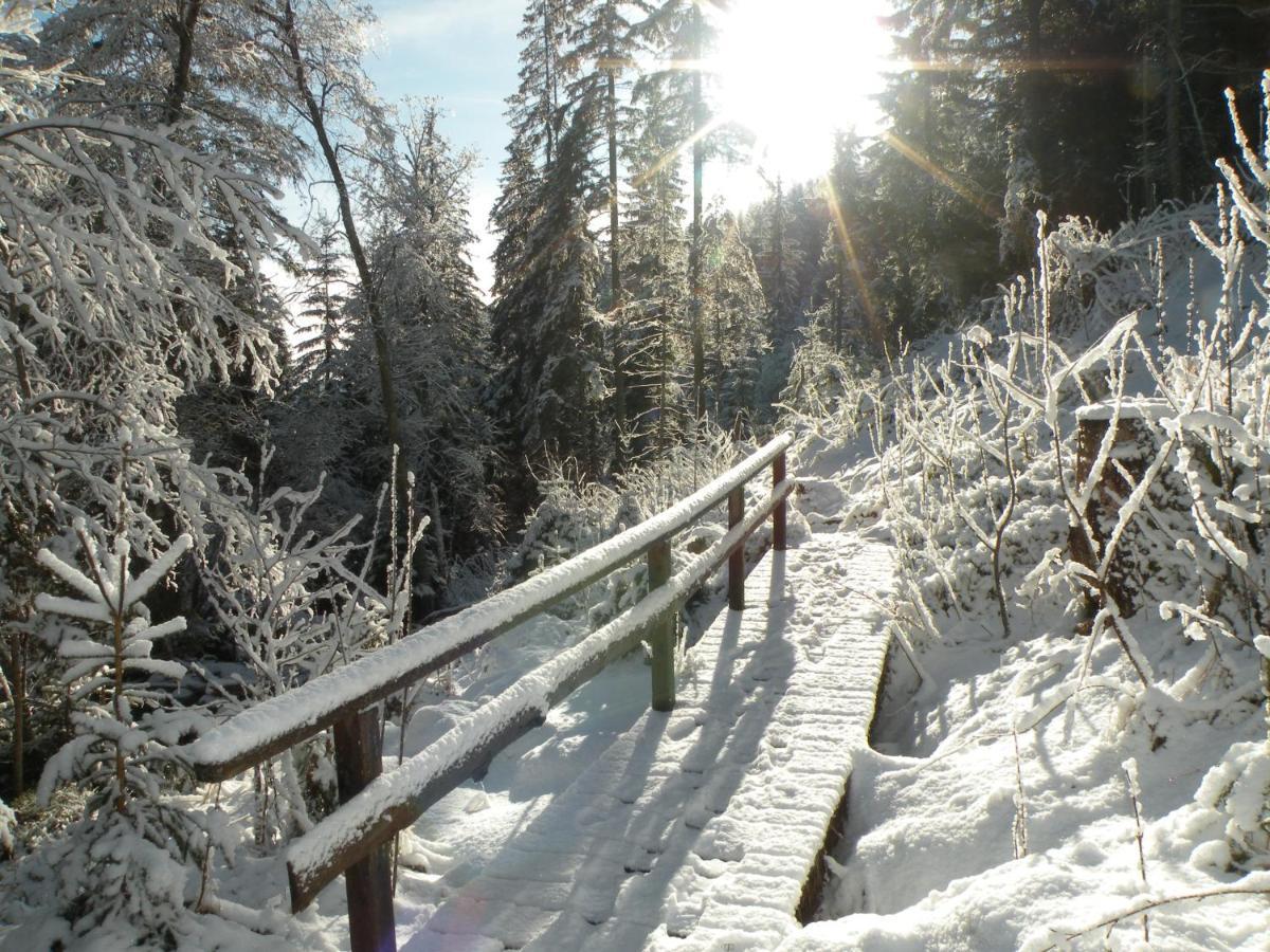 Obdach Urlaub Im Zirbenlandヴィラ エクステリア 写真