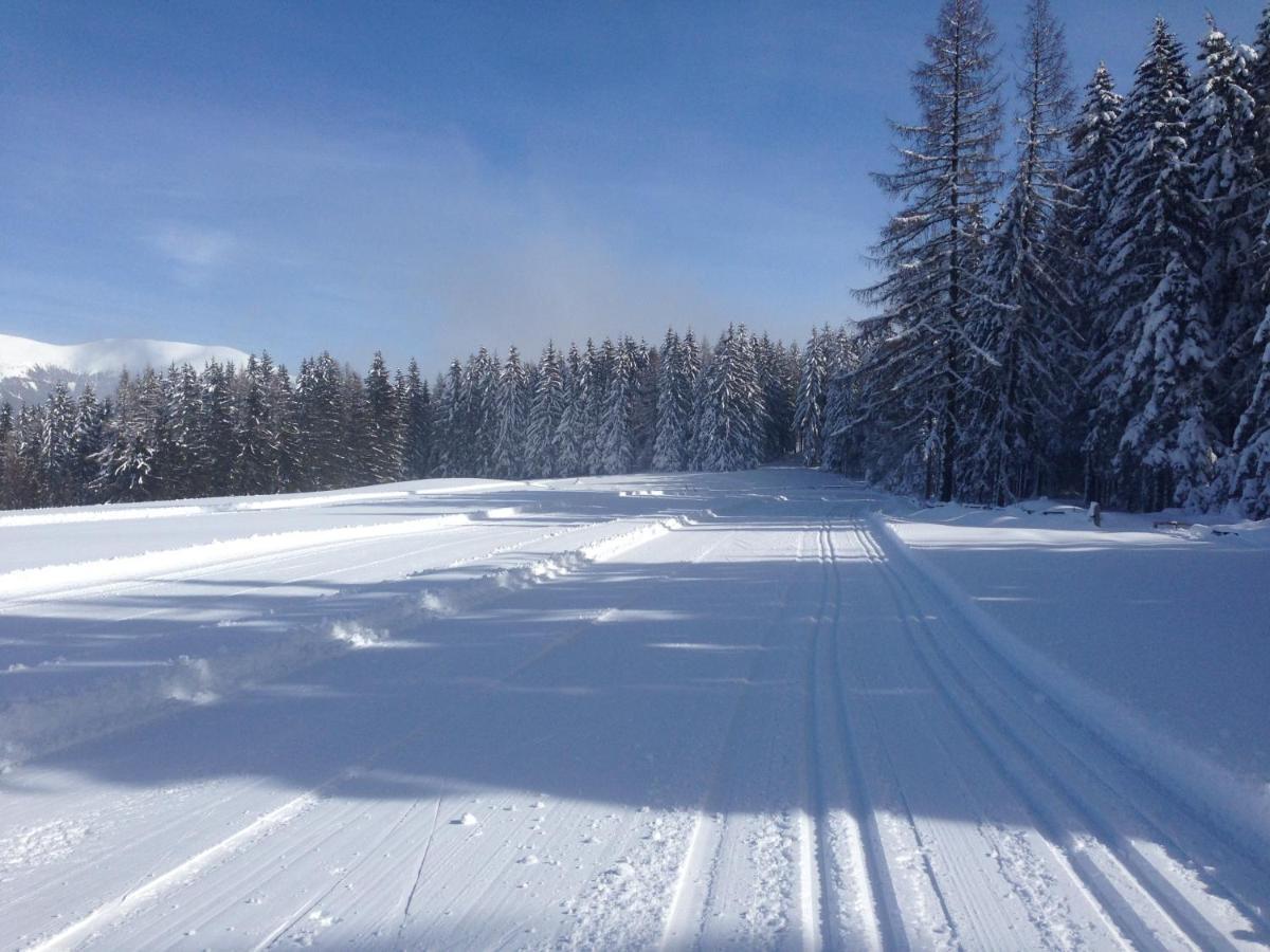 Obdach Urlaub Im Zirbenlandヴィラ エクステリア 写真