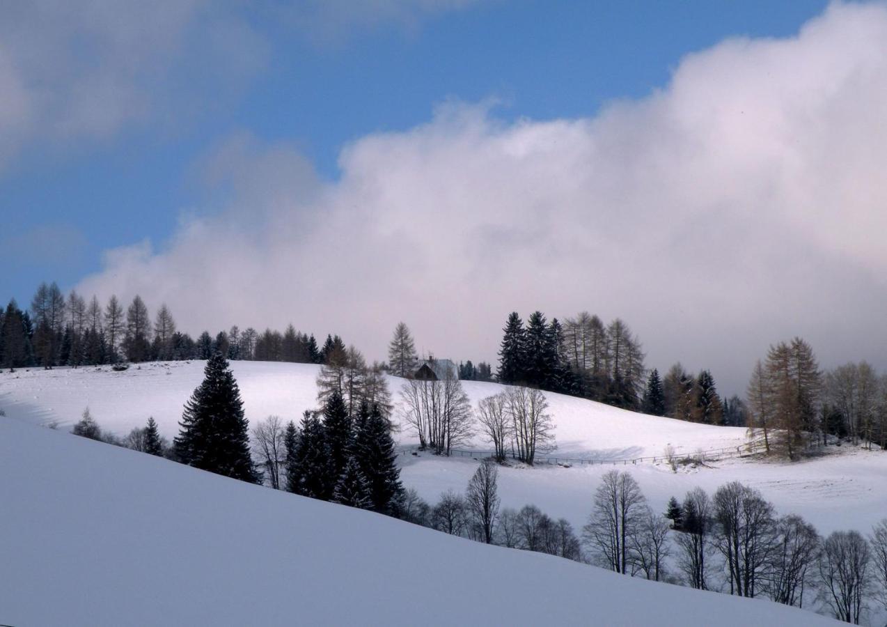 Obdach Urlaub Im Zirbenlandヴィラ エクステリア 写真