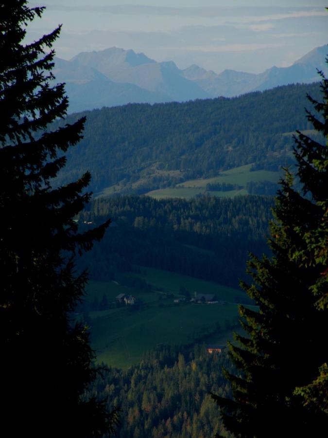 Obdach Urlaub Im Zirbenlandヴィラ エクステリア 写真