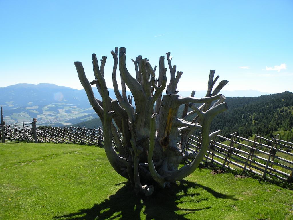 Obdach Urlaub Im Zirbenlandヴィラ エクステリア 写真